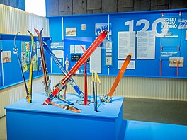 V�t�ina exponát� pochází se sbírek Odd�lení d�jin t�lesné výchovy a sportu...