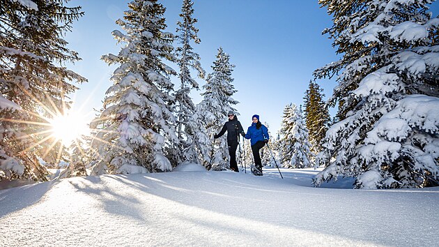 Vyzkou�et si m��ete i sn�nice.