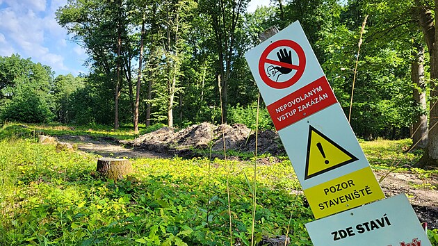 Msto poslednho seku lesnho okruhu v hradeckch lesch vede okrajem lesa jen prsek s paezy a vybagrovanm korytem. (14. ervence 2023)