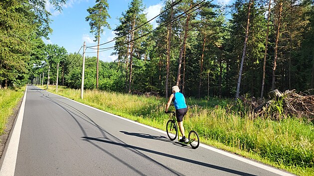 Msto poslednho seku lesnho okruhu v hradeckch lesch vede okrajem lesa jen prsek s paezy a vybagrovanm korytem. (14. ervence 2023)