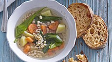 Kroupov� pol�vka s medv�d�m �esnekem a kop�ivami