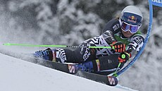 Novozélandská lyaka Alice Robinsonová bhem obího slalomu Svtového poháru v...