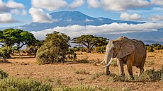 Východní Afrika si stále drí punc toho nejlepího místa pro pozorování zvíat...