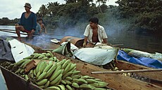 Ekvádortí zemdlci sváejí banány po ece Caypas. (5. íjna 2012)