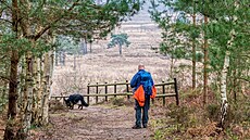 Mu se psem na venkovní procházce v britském hrabství Norfolk. (24. ledna 2024)