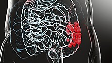 Ilustra�ní fotografie