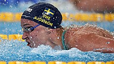 �védská plavkyn� Sarah Sjöströmová v závod� na 50 metr� volným zp�sobem na MS v...