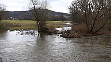 Rozvodněná řeka Morava mezi Zábřehem a Lesnicí na Šumpersku. (12. února 2024)