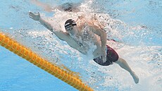 eský plavec Ondej Gemov na mistrovství svta v Dauhá