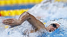 �eská plavkyn� Barbora Seemanová na MS v Dauhá