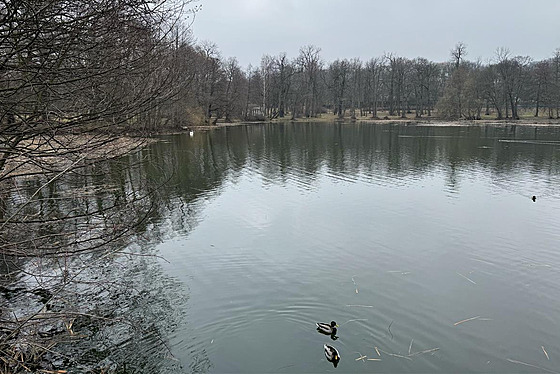 Vyitný a naputný Horní rybník (únor 2024)