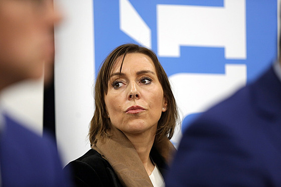 eská europoslankyn Martina Dlabajová (9. kvtna 2019)