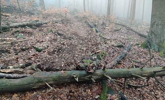 Skupina horlivých biker� si za�ala budovat novou sjezdovou tra� pro bicykly na úpatí Kleti v I. zón� Chrán�né krajinné oblasti (CHKO) Blanský les. 