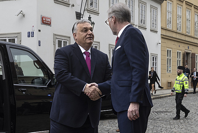 Společný jmenovatel. Z unijní jednoty vybočuje V4 i prezident Macron