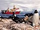 Základna Port Lockroy na ostrově Goudier, kde žijí také tučňáci. Organizace UK...