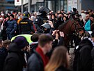 Policisté na koni mezi fanouky ped pohárovým derby mezi Slavií a Spartou.