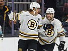 David Pastrák (88) a Jake DeBrusk (74) oslavují gól Boston Bruins.