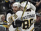 Kevin Shattenkirk (vlevo) a David Pastrák oslavují trefu Boston Bruins.