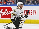 David Pastrák (88) z Boston Bruins oslavuje  v zápase s Edmonton Oilers.