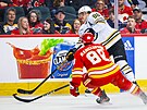 David Pastrák (v bílém) z Boston Bruins v zápase s Calgary Flames pihrává...