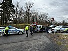 �idi� uj�d�l p�ed policejn� hl�dkou, v Dob��i naboural. (22. �nora 2024)