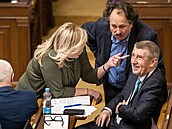 Poslanecká sněmovna projednává novelu občanského zákoníku, která by umožnila...