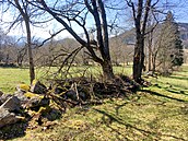 �eské �leby. Krajina kolem horské obce je protkána kamennými zídkami.