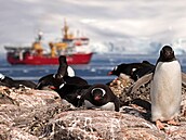 Základna Port Lockroy na ostrově Goudier, kde žijí také tučňáci. Organizace UK...