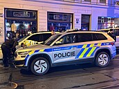 Pražští policisté ve čtvrtek večer v ulicích hlavního města pronásledovali...