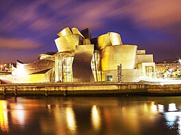 Gehry pvodn poítal pouít na fasádu Guggenheimova muzea v Bilbau ocel, ale...