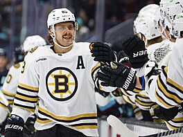 David Pastr�ák slaví se spoluhrá�i z Bostonu gól.