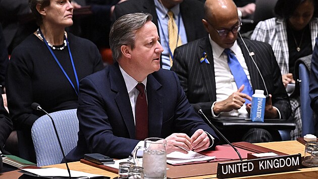 Britsk ministr zahrani David Cameron pi jednn Rady bezpenosti OSN (23. nora 2024)