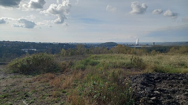 Halda s prohovajc hluinou, uhlm a kaly v Hemanicch na okraji Ostravy. (21. nora 2024)
