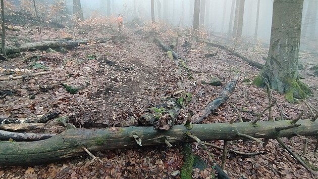 Pod Klet� za�ala vznikat tra� v chr�n�n� p��rod�.