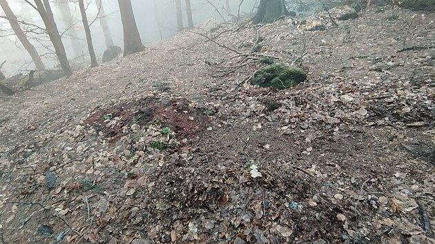 Pod Klet� za�ala vznikat tra� v chr�n�n� p��rod�.