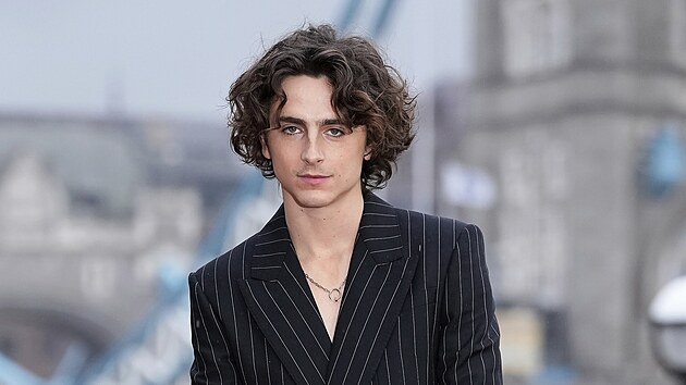 Timothee Chalamet (Londýn, 27. listopadu 2023)