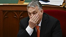 Maďarský premiér Viktor Orbán na jednání parlamentu (26. února 2024)