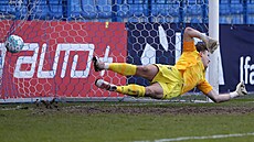 Liberecký branká� Hugo Jan Ba�kovský inkasuje gól z pokutového kopu.