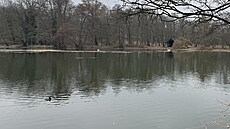 Vyitný a naputný Horní rybník (únor 2024)