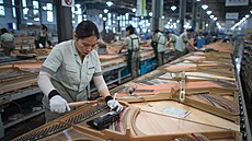 Zamstnanci sestavují jednotlivá piana ve výrobní továrn. (28. listopadu 2021)