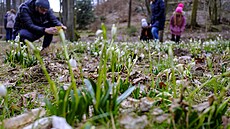 V p�írodní rezervaci Údolí Chlébského potoka na pomezí Brn�nska, Blanenska a...