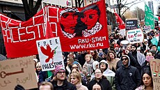 Demonstrující na akci Spolen pro Palestinu, která se konala ve védském...