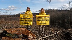 Kácení ve �dánickém lese (28. února 2024)