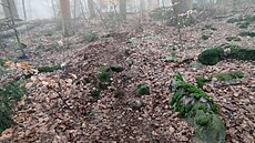 Skupina horlivých biker� si za�ala budovat novou sjezdovou tra� pro bicykly na úpatí Kleti v I. zón� Chrán�né krajinné oblasti (CHKO) Blanský les. 