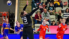 Branká�ka Sabrina Novotná se sna�í vyrazit mí� v zápase kvalifikace na...