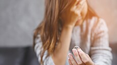 Ilustra�ní snímek