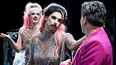 Jan Mansfeld, Jakub Tvrdík a Tomá Petík v pedstavení Klec blázn