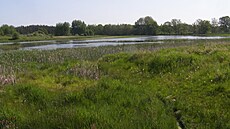 Rybníky v pírodní rezervaci Tisovské rybníky na Tachovsku se istí, aby se tam...