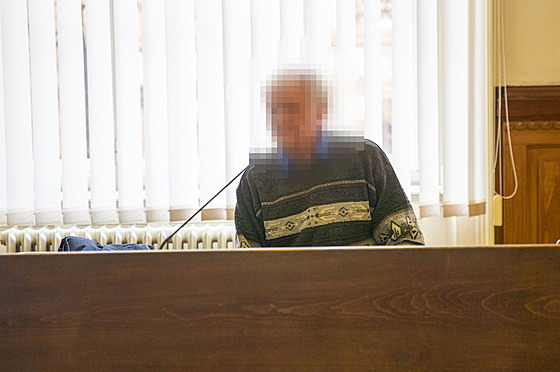 Krajský soud v Brn dnes zaal projednávat pípad mue, který je obalovaný ze...
