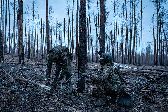 Ukrajintí vojáci vylepují opevnní na frontové linii v lese u obce Kreminna v...